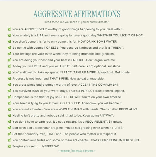 Zen & Chaos Planner – Printable Mental Health Planner for ADHD & Neurodivergent Minds